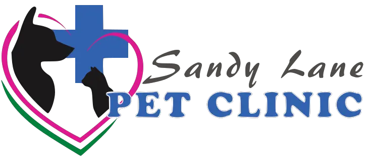 Sandy Lane Pet Clinic - Rollout Technologies client