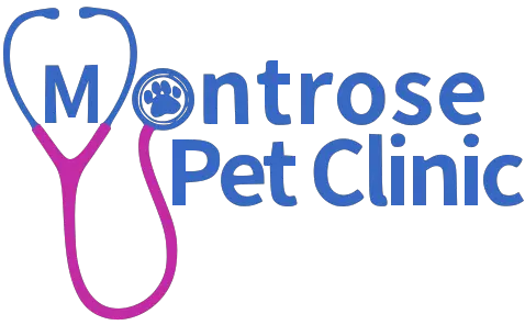 Montrose Pet Clinic - Rollout Technologies client