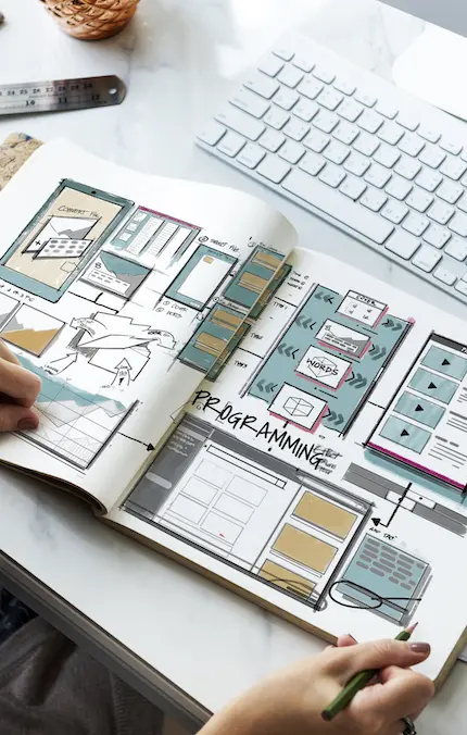 Web Design and Development process Web Design and Development process